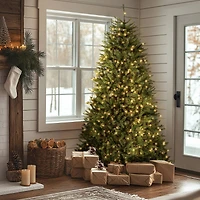 7.5 ft. Pre-Lit Dunhill® Fir Artificial Christmas Tree, Clear Lights
