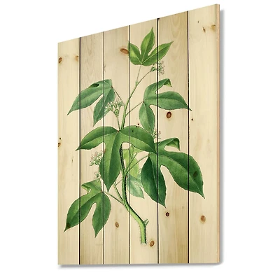 Designart - Vintage Green Leaves Plants V