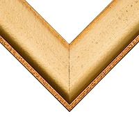 Craig Frames Cairo Gold Picture Frame