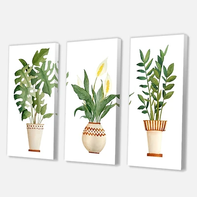 Designart - Houseplant Monstera & Peace Lily In Terra Cotta