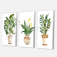 Designart - Houseplant Monstera & Peace Lily In Terra Cotta