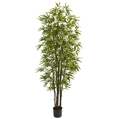 7ft. Potted Green Bamboo Tree