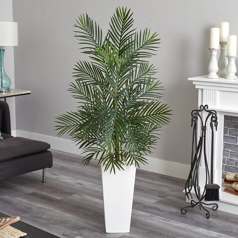 5ft. Areca Palm Tree in White Planter