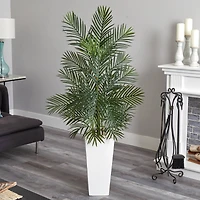 5ft. Areca Palm Tree in White Planter