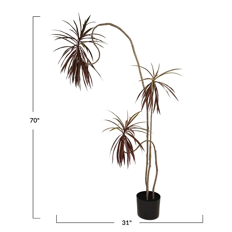 Hello Honey® Faux Dracaena Tree in Plastic Pot