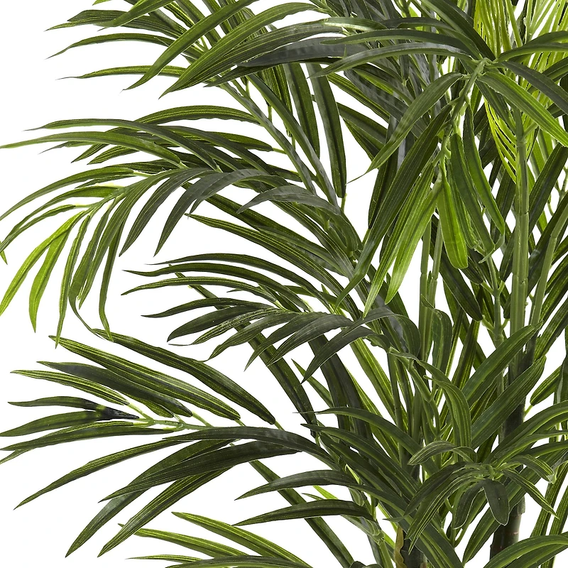 2.5ft. Potted Areca Palm