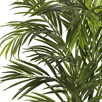 2.5ft. Potted Areca Palm