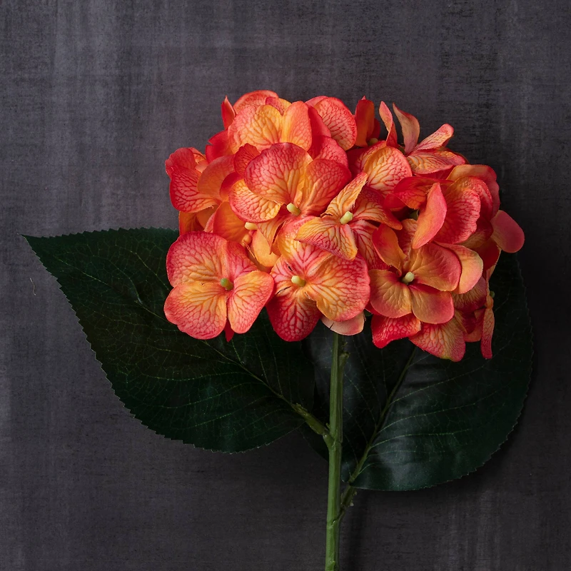 12 Pack: Orange Hydrangea Stem by Ashland®