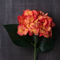 12 Pack: Orange Hydrangea Stem by Ashland®