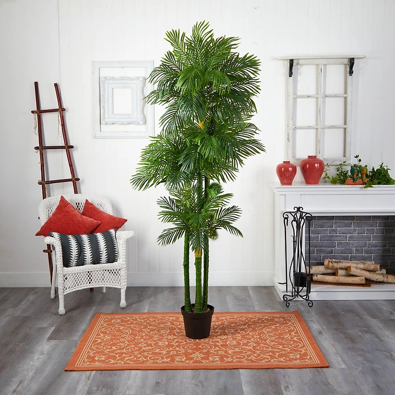 7.5ft. Potted Phoenix Palm Tree