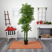 7.5ft. Potted Phoenix Palm Tree 