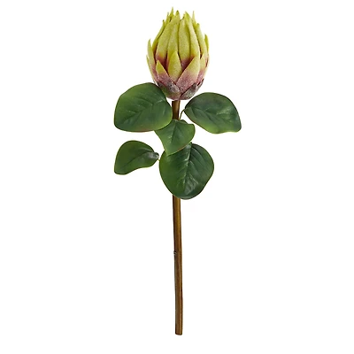 Green King Protea Stem, 4ct.