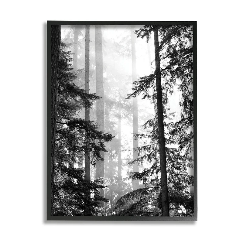 Stupell Industries Forest Light Shining Through Tall Trees Landscape Photography Framed Wall Art