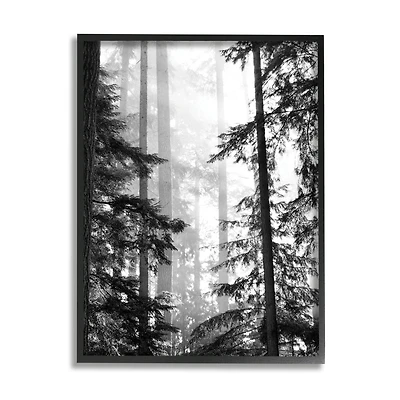 Stupell Industries Forest Light Shining Through Tall Trees Landscape Photography Framed Wall Art