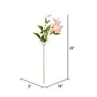 Pink Clematis Stem, 6ct.
