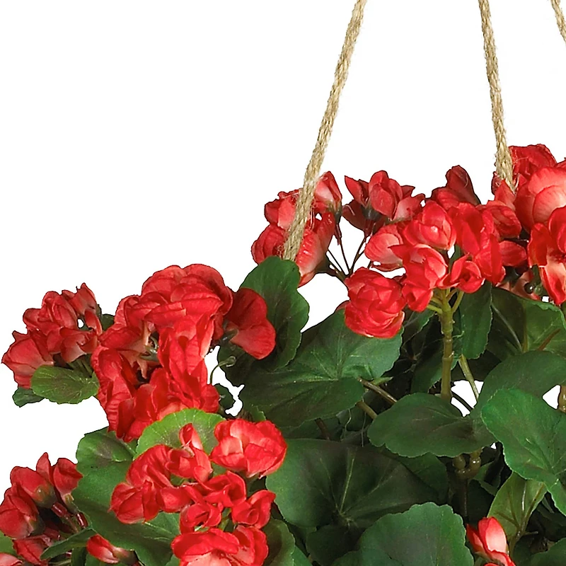 24" Red Geranium in Hanging Basket