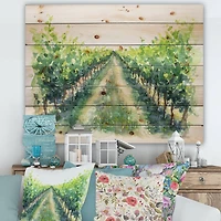 Designart - Rural Scene Vineyard Road