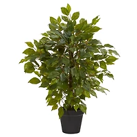 20" Potted Mini Ficus Tree
