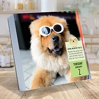 TF Publishing Dog A Day Daily Desktop Calendar