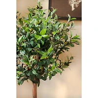 4.5ft. Olive Topiary Tree with Farmhouse Barrel Planter