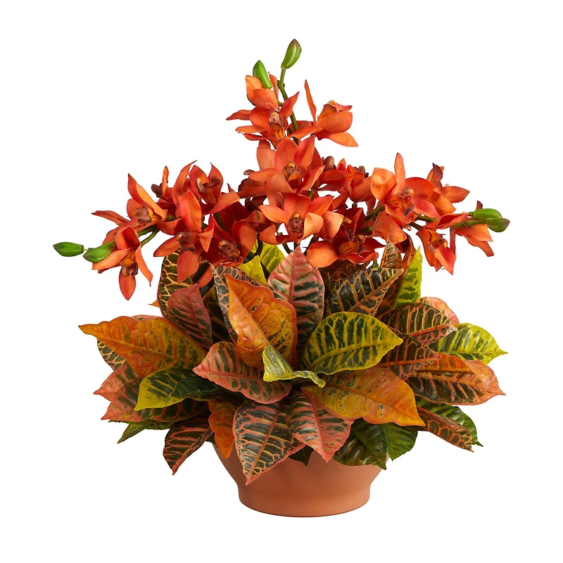 18" Boat Orchid & Croton Floral Arrangement in Terra Cotta Vase