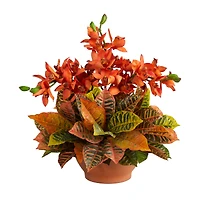 18" Boat Orchid & Croton Floral Arrangement in Terra Cotta Vase