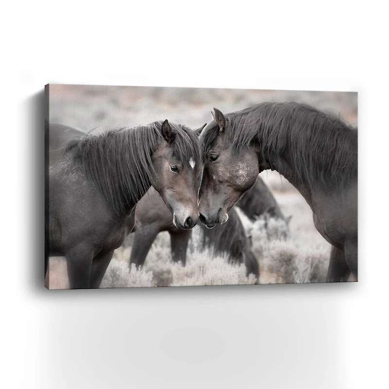 Wild Horses Canvas Giclee
