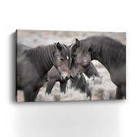 Wild Horses Canvas Giclee