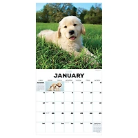 TF Publishing 2025 Puppies Wall Calendar