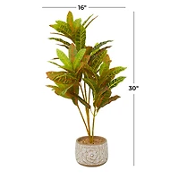 2.5ft. Potted Bohemian Banyan Tree Artificial Foliage