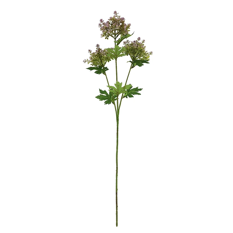 34.25" Purple Allium Stem by Ashland®