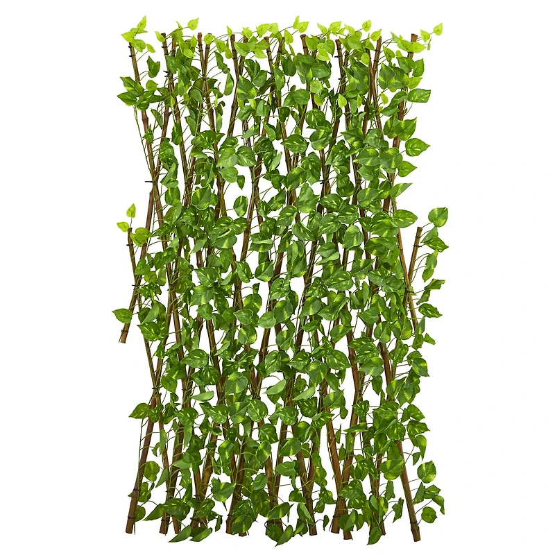 4ft. Pothos Expandable Fence