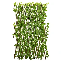4ft. Pothos Expandable Fence