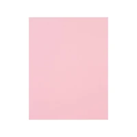 12 Packs: 50 ct. (600 total) Flamingo 8.5" x 11" Cardstock Paper by Recollections™