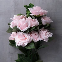 12 Pack: Rose Bush by Ashland