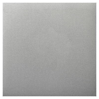 Slick Glitter Paper by Recollections