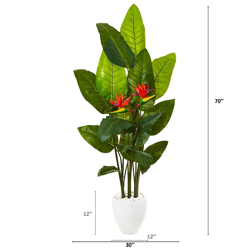 5.8ft. Bird of Paradise Plant in White Planter