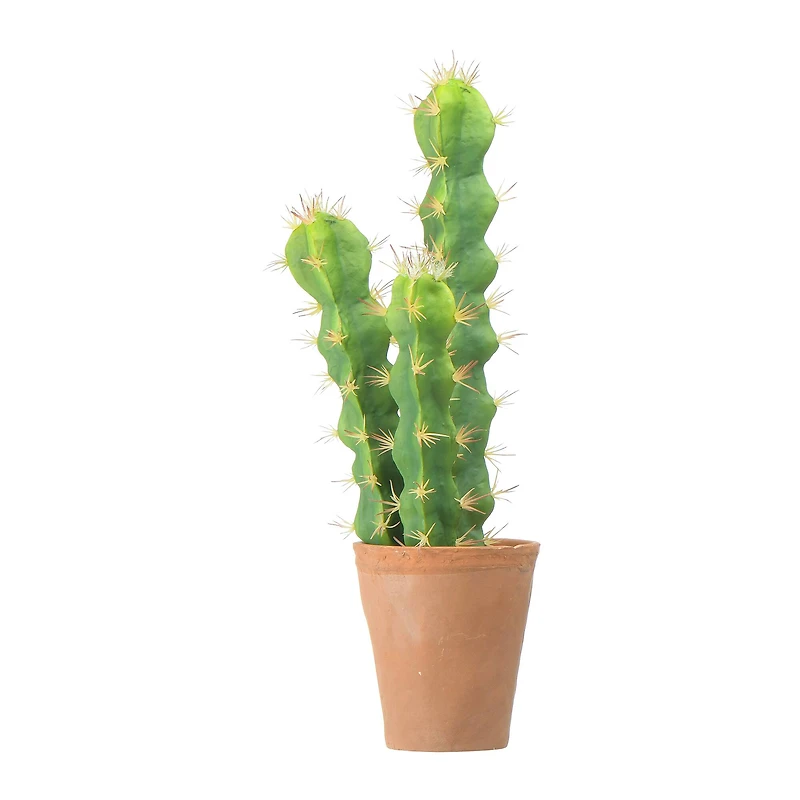 Hello Honey® 18" Cereus Cactus in Terra Cotta Colored Pot