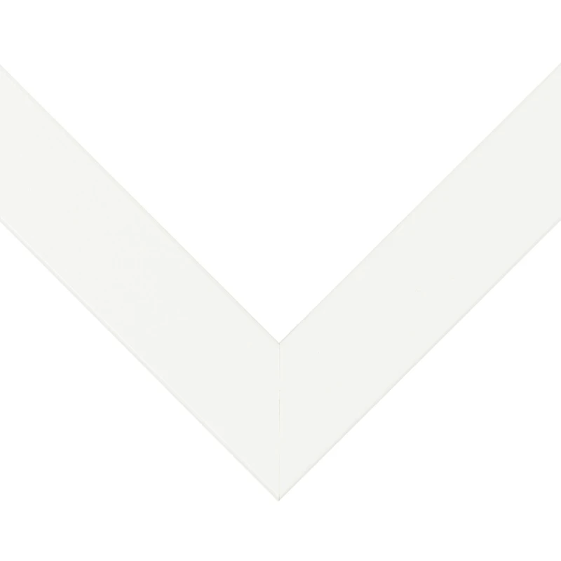 Frame USA Affordable Medium White Single Image Picture Frame