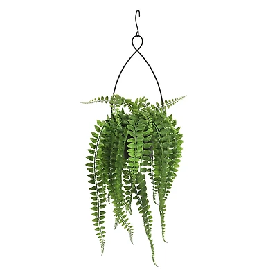 26" Hanging Boston Fern Potted Plant by Ashland®