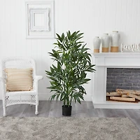 4ft. Potted Bamboo Palm Tree