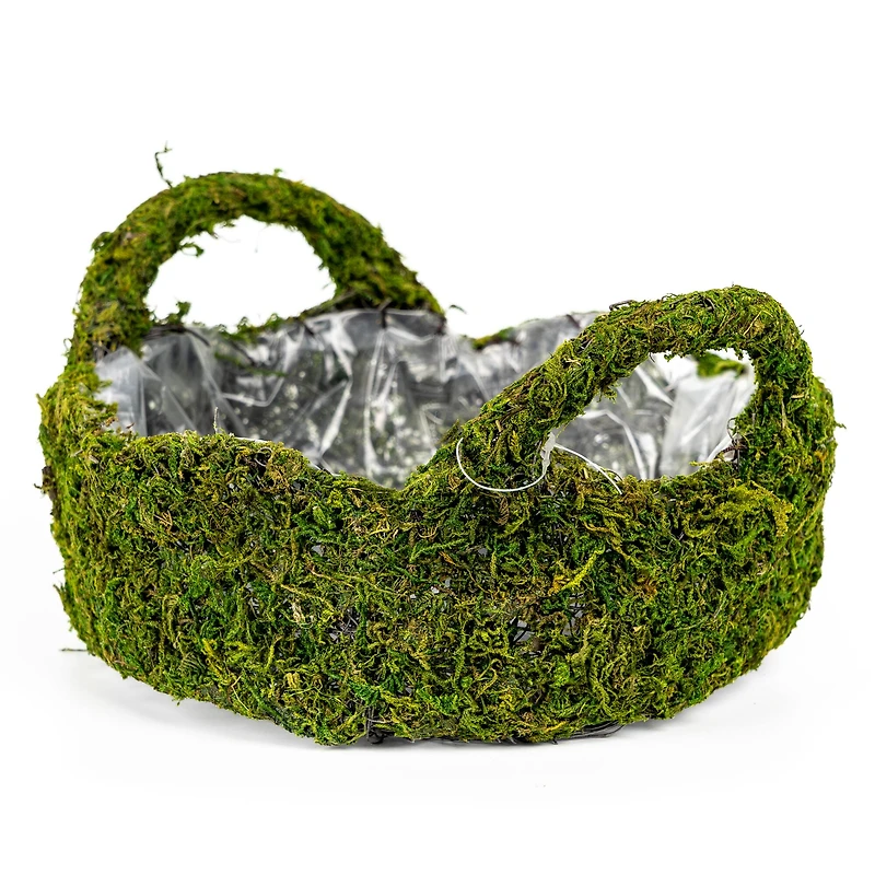 9" Decorative Moss Basket by Ashland®