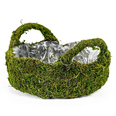 9" Decorative Moss Basket by Ashland®