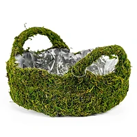 9" Decorative Moss Basket by Ashland®