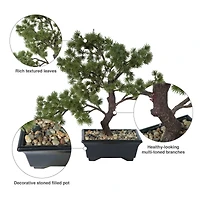 12" Potted Artificial Pine Bonsai Tree