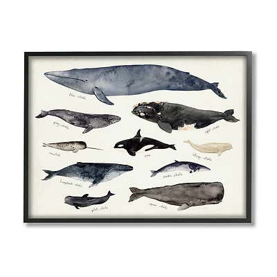 Stupell Industries Vintage Nautical Chart of Whales Ocean Life in Frame Wall Art