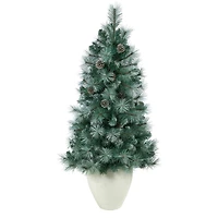 4ft. Pre-Lit Frosted Tip British Columbia Mountain Pine Artificial Christmas Tree with Pinecones, Clear Lights