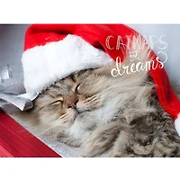 JAM Paper Season's Greetings Holiday Cat Assortment Cards Set, 25ct.