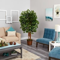 5.5ft. Super Deluxe Ficus Tree in Wicker Planter