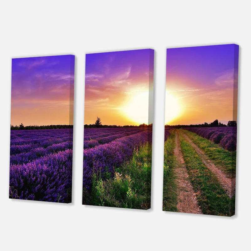 Designart - Lavender Field At Dawn II